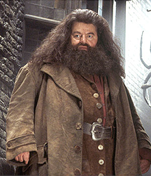 Famous Harrry Potter actor Hagrid has passed away. Sending our prayers