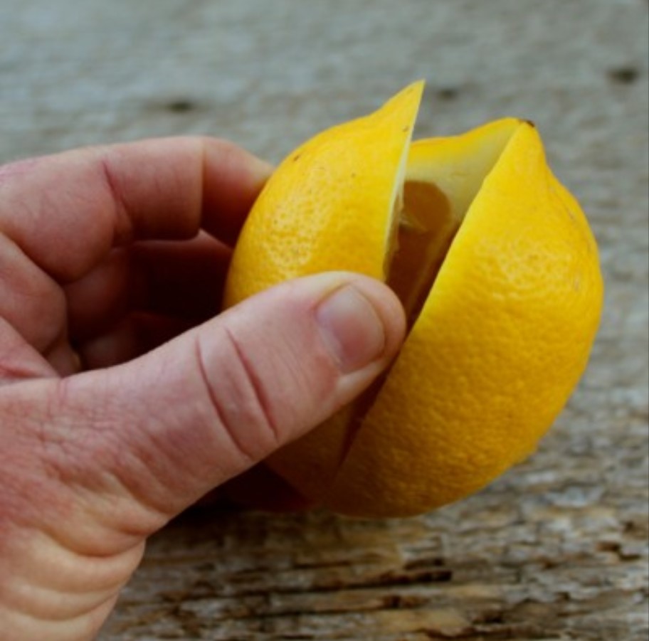 Amazing reason why keeping a lemon in your bedroom is a great idea!