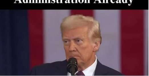 Ramaswamy Out At DOGE As Rumors Swirl