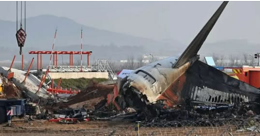 Bird Feathers and Blood Stains Found in Engines of South Korean Plane