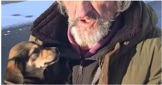 Homeless Man Asked Me to Take His Dog