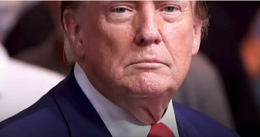 Users React to Melania Trump’s New Official Portrait