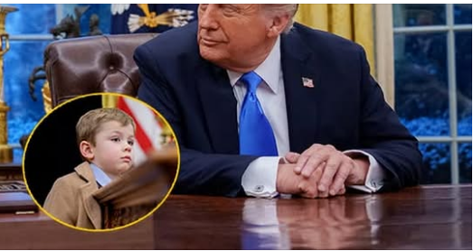 People Believe Elon Musk’s 4-Year-Old Son Chided President Trump