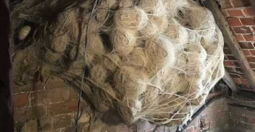 Man Thinks He Found.