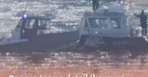 Rescue Crews Describe The “Horrors” They Witnessed Underwater 